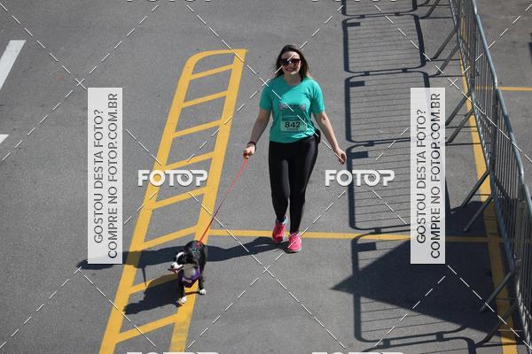 Buy your photos of the event2 Pet Run Shopping Eldorado  on Fotop