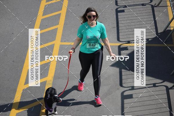 Buy your photos of the event2 Pet Run Shopping Eldorado  on Fotop