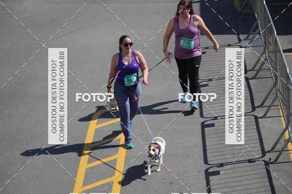 Buy your photos of the event2 Pet Run Shopping Eldorado  on Fotop
