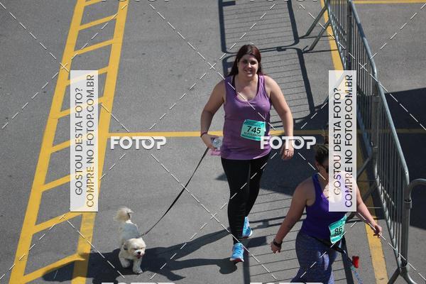 Buy your photos of the event2 Pet Run Shopping Eldorado  on Fotop