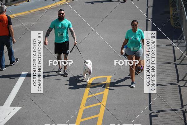 Buy your photos of the event2 Pet Run Shopping Eldorado  on Fotop