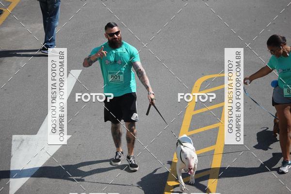 Buy your photos of the event2 Pet Run Shopping Eldorado  on Fotop