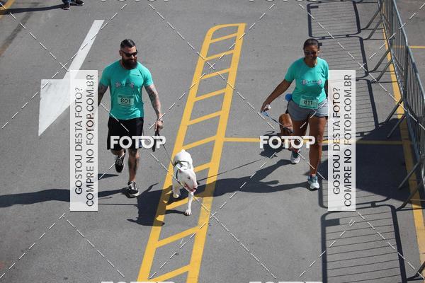 Buy your photos of the event2 Pet Run Shopping Eldorado  on Fotop