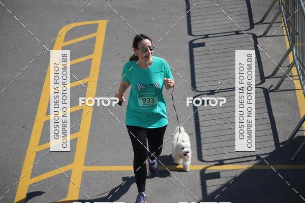 Buy your photos of the event2 Pet Run Shopping Eldorado  on Fotop