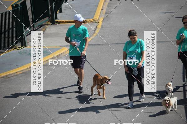 Buy your photos of the event2 Pet Run Shopping Eldorado  on Fotop