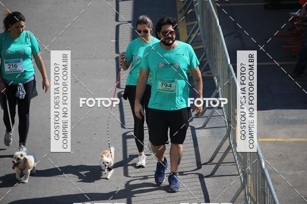 Buy your photos of the event2 Pet Run Shopping Eldorado  on Fotop