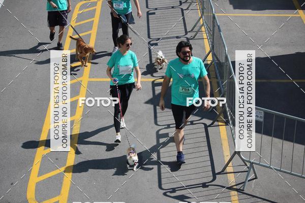 Buy your photos of the event2 Pet Run Shopping Eldorado  on Fotop