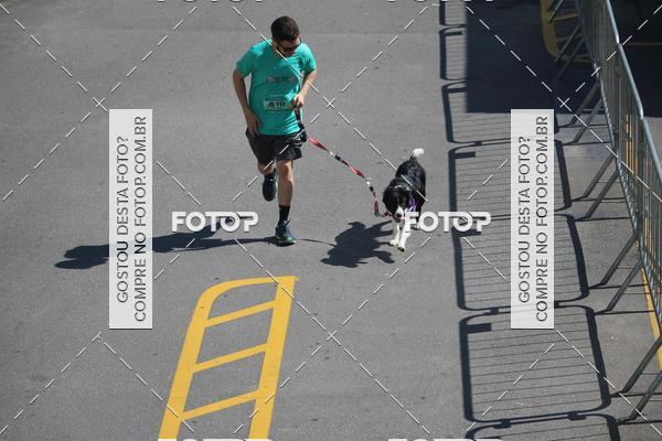 Buy your photos of the event2 Pet Run Shopping Eldorado  on Fotop