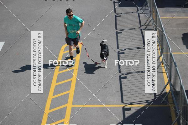 Buy your photos of the event2 Pet Run Shopping Eldorado  on Fotop