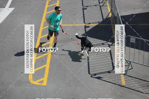 Buy your photos of the event2 Pet Run Shopping Eldorado  on Fotop
