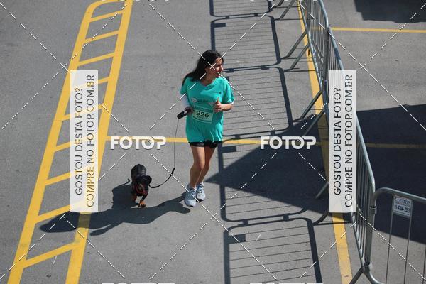 Buy your photos of the event2 Pet Run Shopping Eldorado  on Fotop