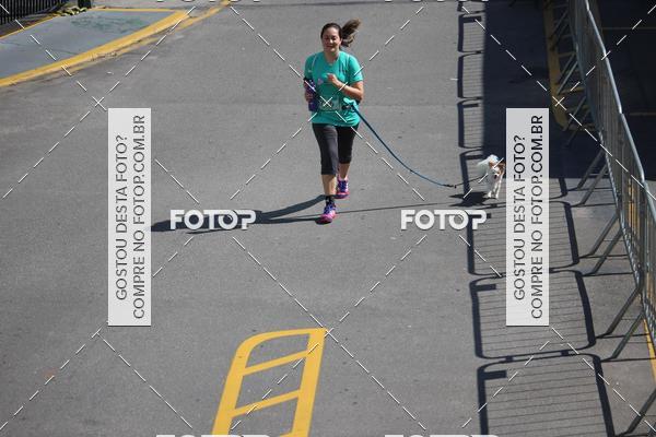 Buy your photos of the event2 Pet Run Shopping Eldorado  on Fotop