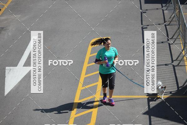 Buy your photos of the event2 Pet Run Shopping Eldorado  on Fotop
