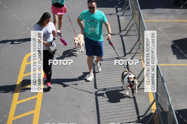 Buy your photos of the event2 Pet Run Shopping Eldorado  on Fotop