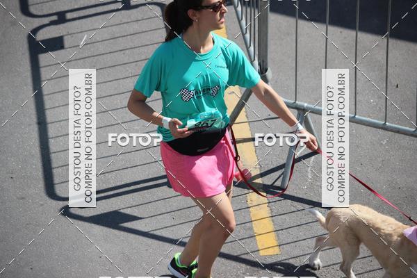 Buy your photos of the event2 Pet Run Shopping Eldorado  on Fotop