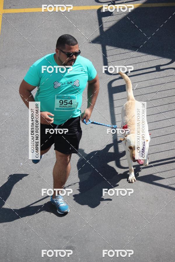 Buy your photos of the event2 Pet Run Shopping Eldorado  on Fotop