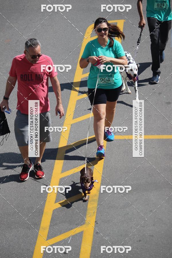 Buy your photos of the event2 Pet Run Shopping Eldorado  on Fotop