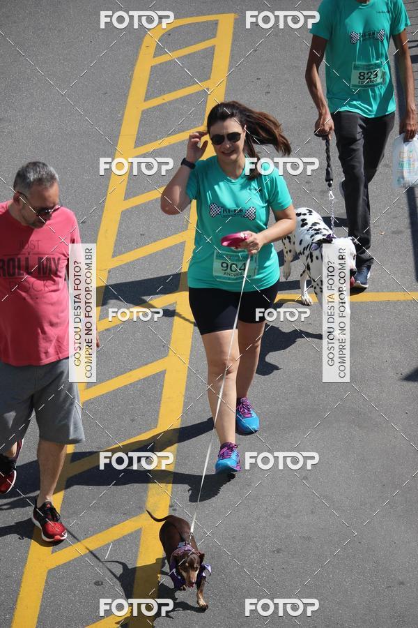 Buy your photos of the event2 Pet Run Shopping Eldorado  on Fotop