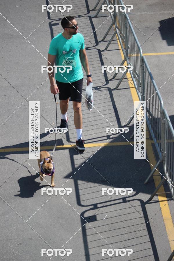Buy your photos of the event2 Pet Run Shopping Eldorado  on Fotop