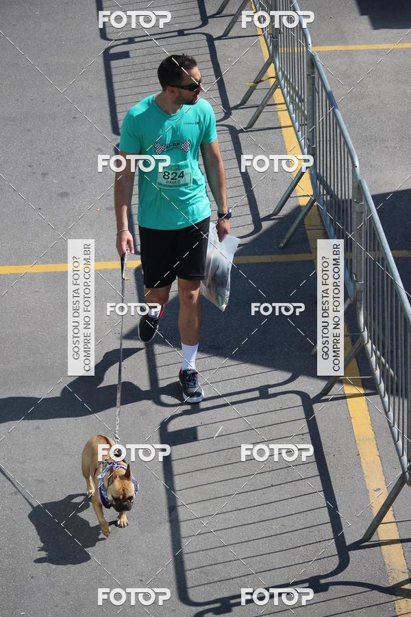 Buy your photos of the event2 Pet Run Shopping Eldorado  on Fotop