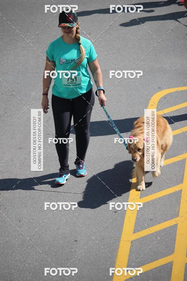 Buy your photos of the event2 Pet Run Shopping Eldorado  on Fotop