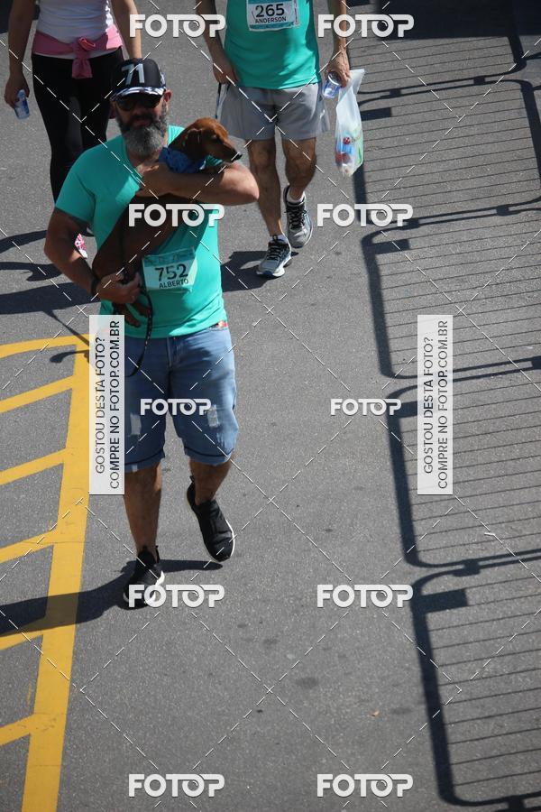 Buy your photos of the event2 Pet Run Shopping Eldorado  on Fotop
