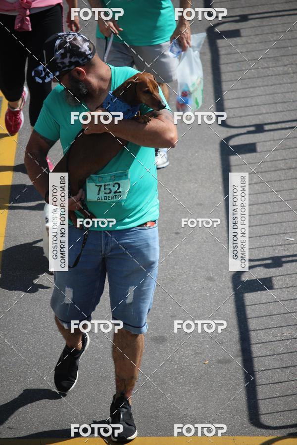 Buy your photos of the event2 Pet Run Shopping Eldorado  on Fotop
