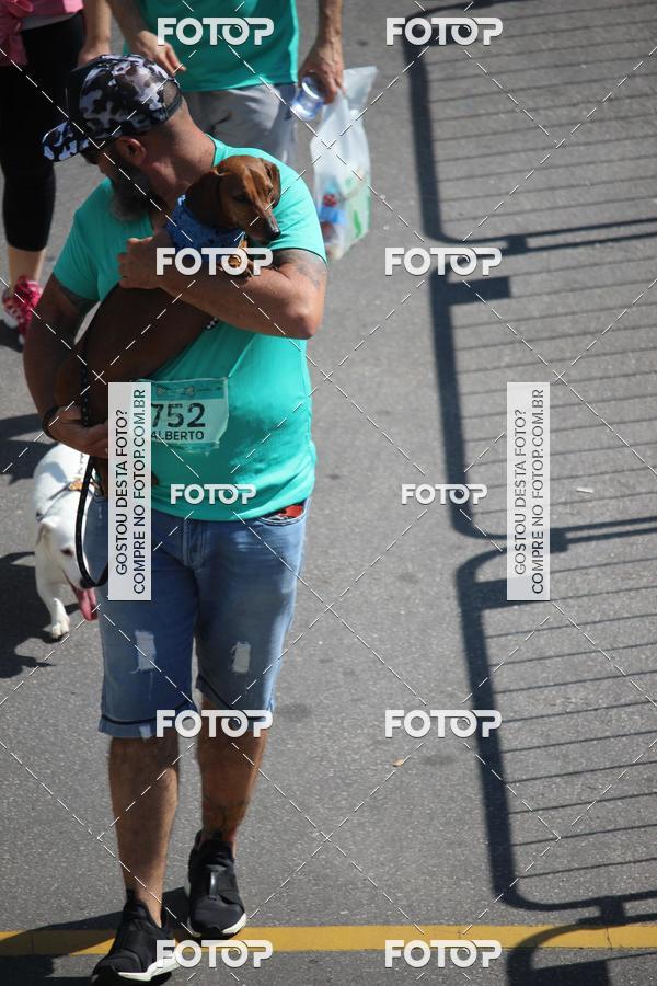 Buy your photos of the event2 Pet Run Shopping Eldorado  on Fotop