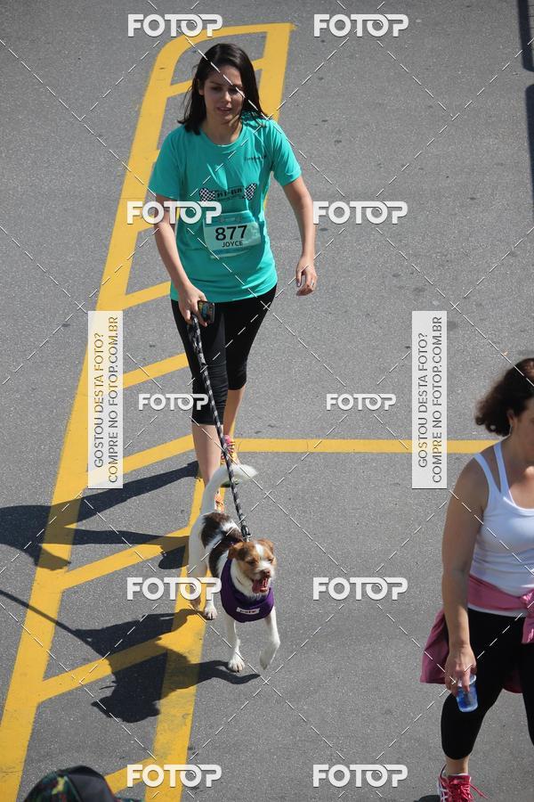 Buy your photos of the event2 Pet Run Shopping Eldorado  on Fotop
