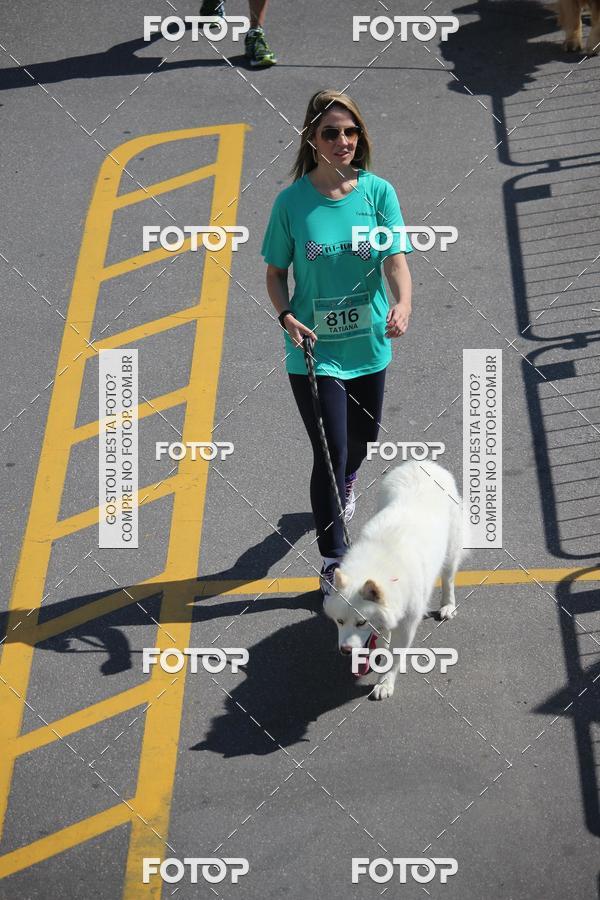 Buy your photos of the event2 Pet Run Shopping Eldorado  on Fotop