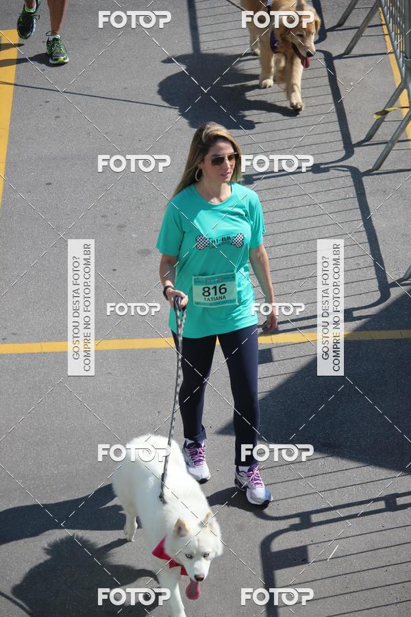 Buy your photos of the event2 Pet Run Shopping Eldorado  on Fotop
