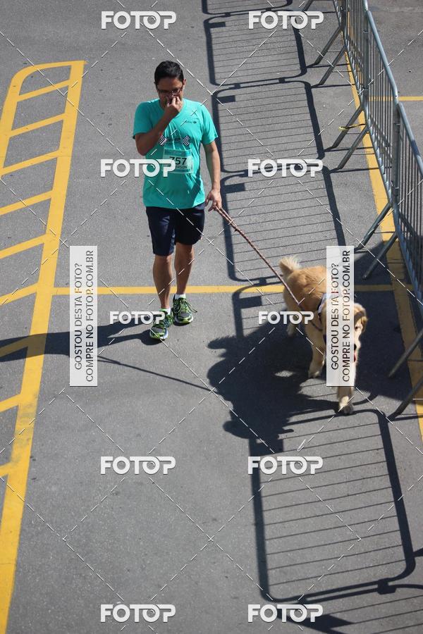 Buy your photos of the event2 Pet Run Shopping Eldorado  on Fotop