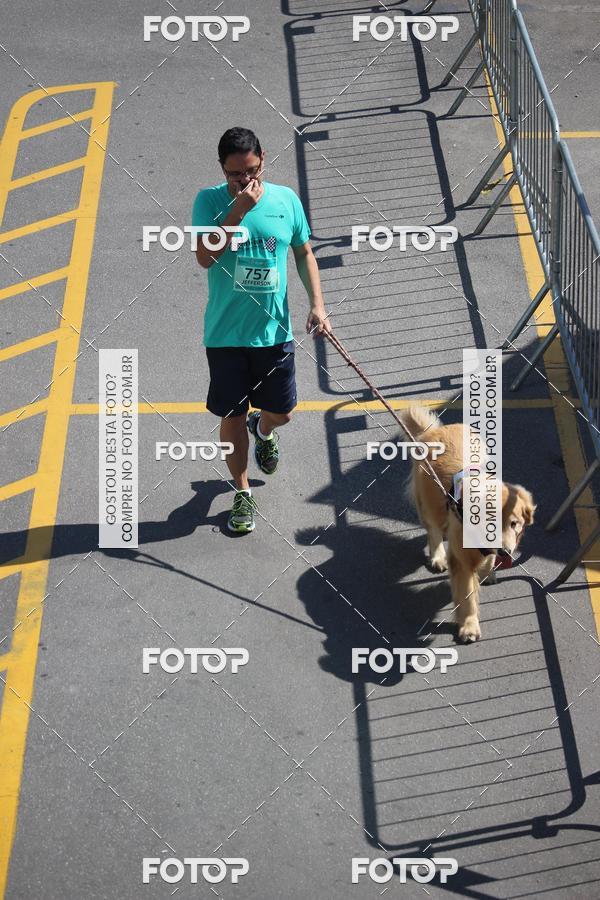 Buy your photos of the event2 Pet Run Shopping Eldorado  on Fotop