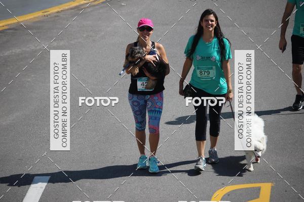 Buy your photos of the event2 Pet Run Shopping Eldorado  on Fotop