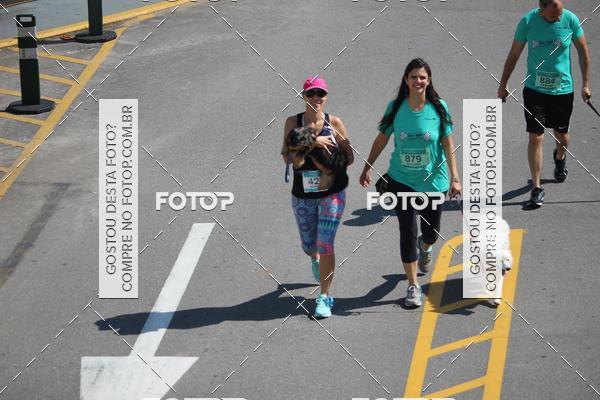 Buy your photos of the event2 Pet Run Shopping Eldorado  on Fotop
