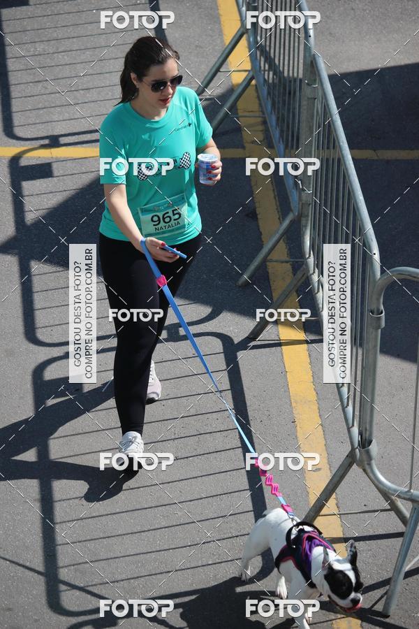 Buy your photos of the event2 Pet Run Shopping Eldorado  on Fotop