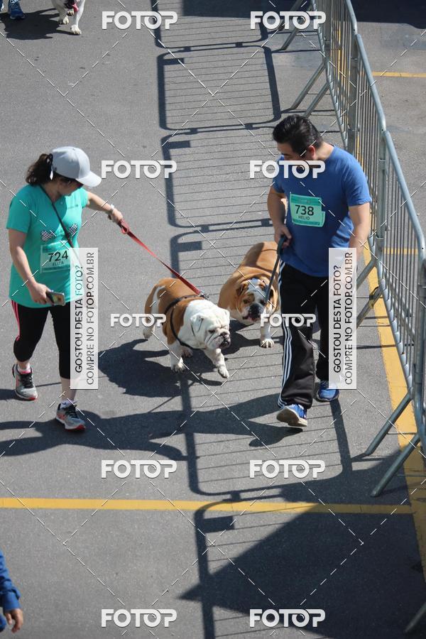 Buy your photos of the event2 Pet Run Shopping Eldorado  on Fotop