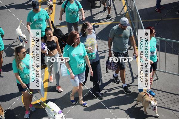 Buy your photos of the event2 Pet Run Shopping Eldorado  on Fotop