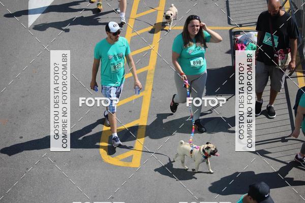 Buy your photos of the event2 Pet Run Shopping Eldorado  on Fotop