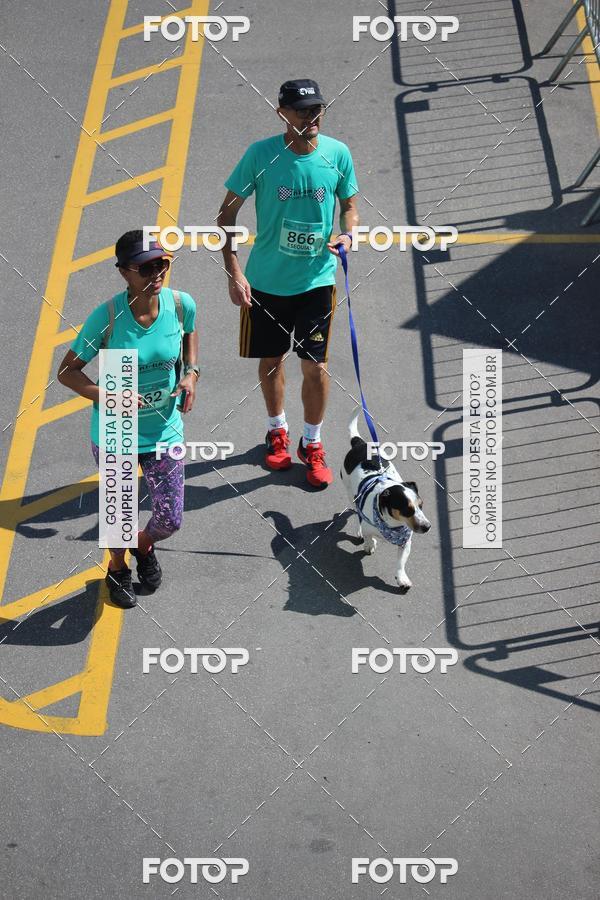 Buy your photos of the event2 Pet Run Shopping Eldorado  on Fotop