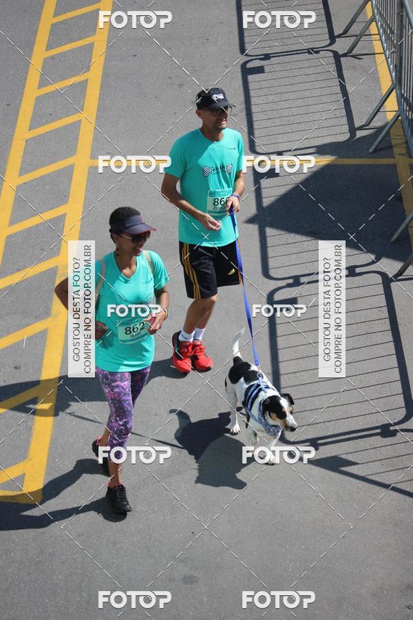 Buy your photos of the event2 Pet Run Shopping Eldorado  on Fotop
