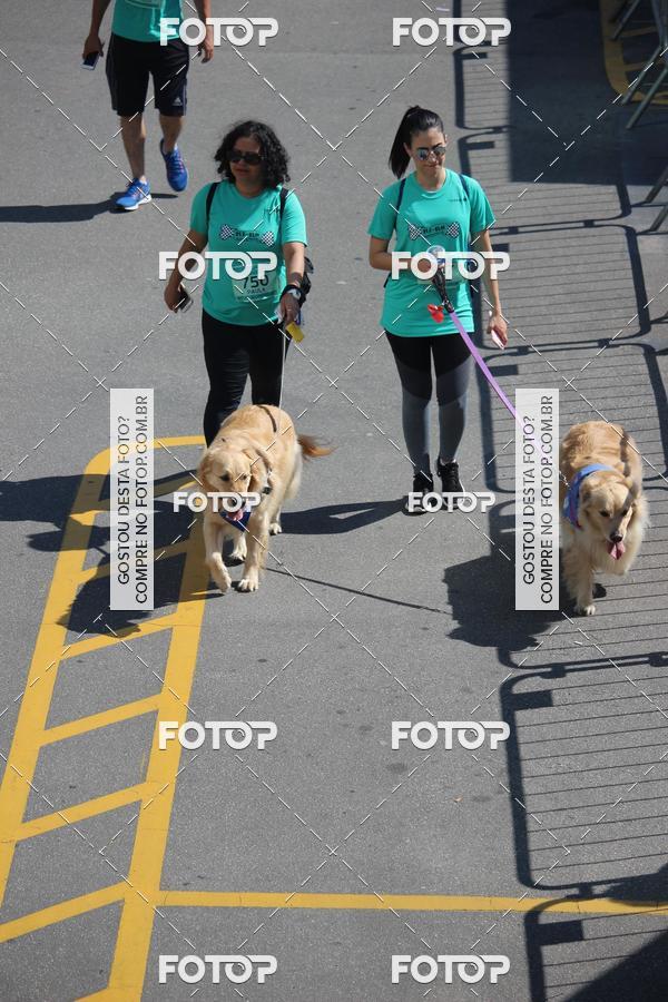 Buy your photos of the event2 Pet Run Shopping Eldorado  on Fotop