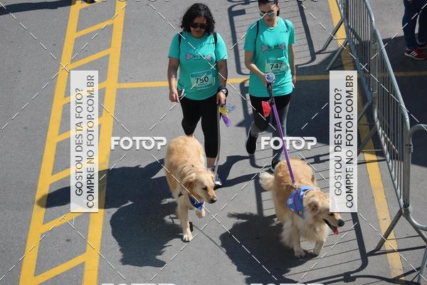 Buy your photos of the event2 Pet Run Shopping Eldorado  on Fotop