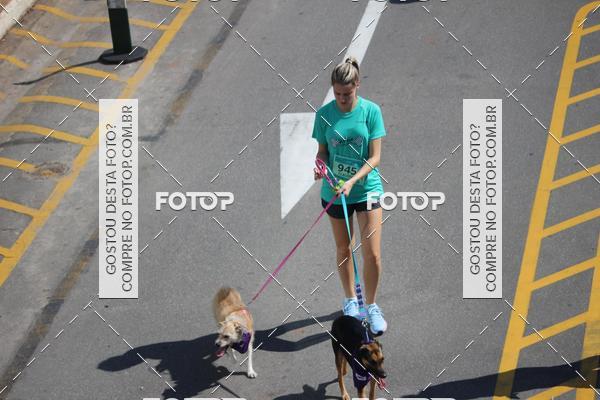 Buy your photos of the event2 Pet Run Shopping Eldorado  on Fotop