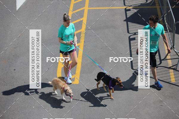 Buy your photos of the event2 Pet Run Shopping Eldorado  on Fotop