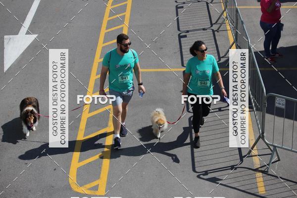 Buy your photos of the event2 Pet Run Shopping Eldorado  on Fotop
