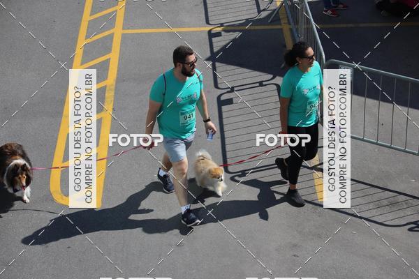 Buy your photos of the event2 Pet Run Shopping Eldorado  on Fotop