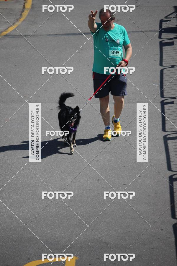 Buy your photos of the event2 Pet Run Shopping Eldorado  on Fotop