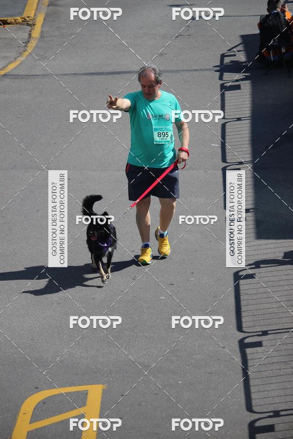 Buy your photos of the event2 Pet Run Shopping Eldorado  on Fotop