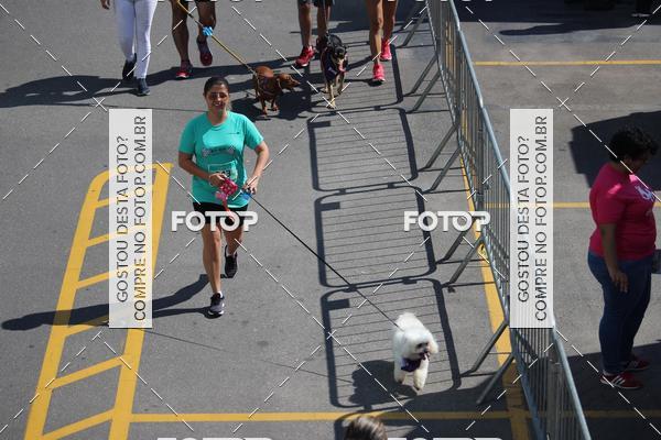 Buy your photos of the event2 Pet Run Shopping Eldorado  on Fotop
